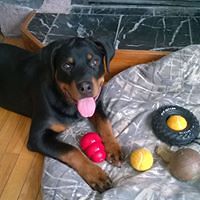 5473d81a5f1a1 avatar