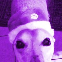 laura_jose_37 avatar