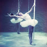 olivia_nikoloudi avatar