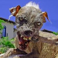 john_p_odonnell avatar