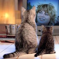 rebecca_diepenheim avatar