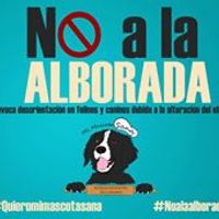 instintosanimales avatar