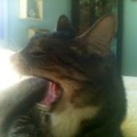 andy_dewar_50 avatar