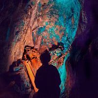 tracy_wills_94 avatar