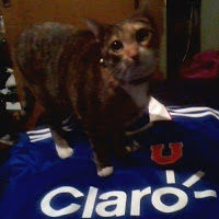 marajoseburgos avatar