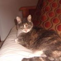 sue_parry_927 avatar