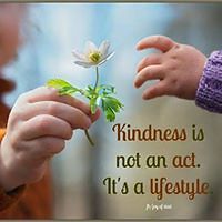 lauriane_huet avatar