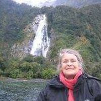 carole_sarvis avatar