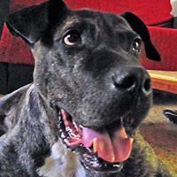 jf_l_bousquet avatar