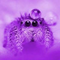 destini_mattocks avatar