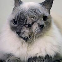 boris_smith_108 avatar