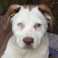 colombianaviajando avatar