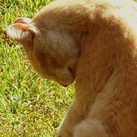 jan_h_andrews avatar