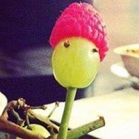 Drama_Free_Zone_Kthx avatar