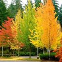 elizabeth_kingsley_50 avatar