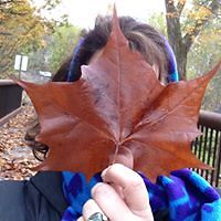 texas_katarina avatar