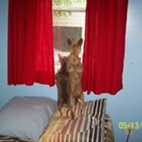 denise_cluney avatar