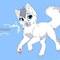 staci_bowman_56 avatar