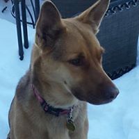 penelope_l_penderhausen avatar