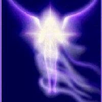 selenia_fonseca avatar