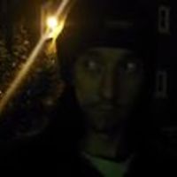 bingotheelectricdingo avatar