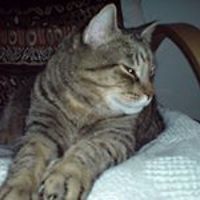 cathy_mcleod_583 avatar