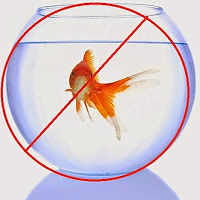 jamesstewartjamesfishtankvideos avatar