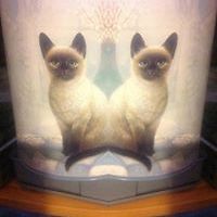 jacki_fogarty avatar