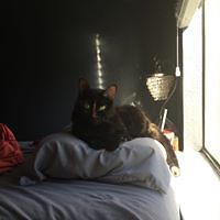 tanisha23esparza avatar