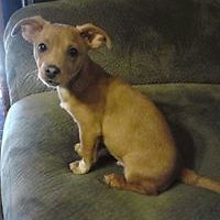 cynde_goodman avatar