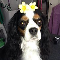 dave_light_58 avatar