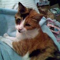 marjorie_hanson_54 avatar