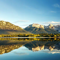 catalinalexandru avatar