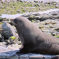 marinnetterfield avatar