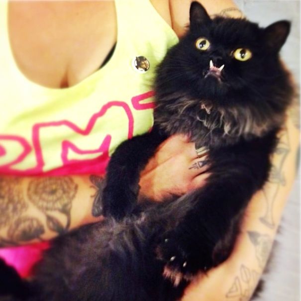 Princess Monster Truck