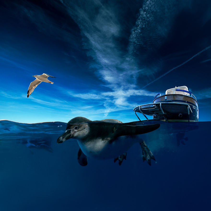 The World Before I Go To Sleep