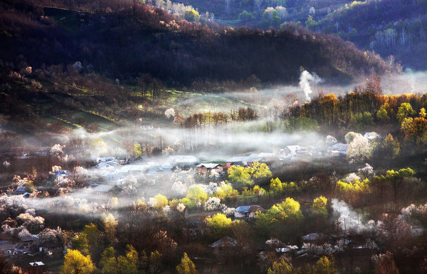 Spring Therapy In Soimari, Prahova County, Romania, By Andrei Baciu