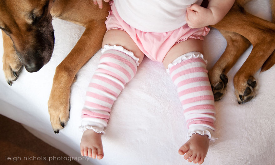 Legs And Paws And Feet And Toes