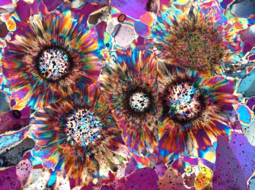Inside A Rock! Stunning Images Of Ocean Jasper Macro To Micro