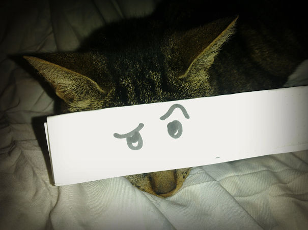 "i Am Not Your Dog", Sharka