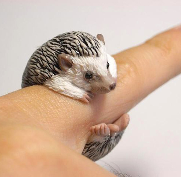 Realistic Animal Rings