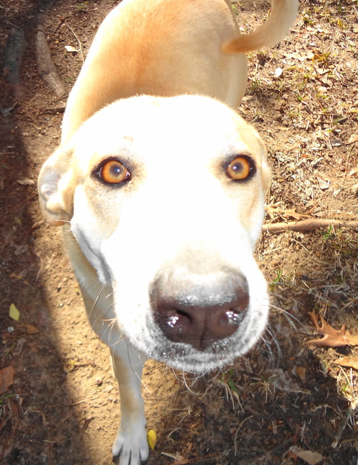 Lupa With Her Natural Eyeliner!