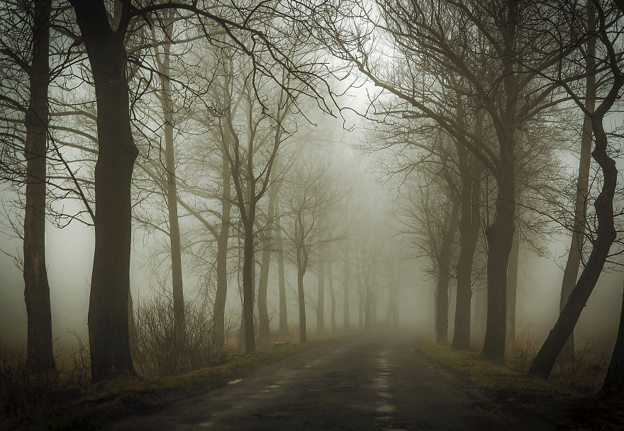 Misty Road - Poland