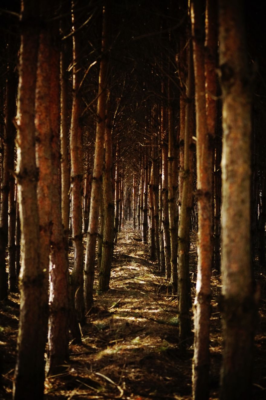 Magical Polish Countryside Through My Camera's Lens