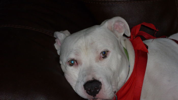 Bub With His Footballesque Guy-liner.