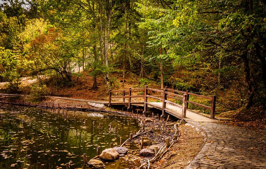 Near Bear Lake Sovata / Romania