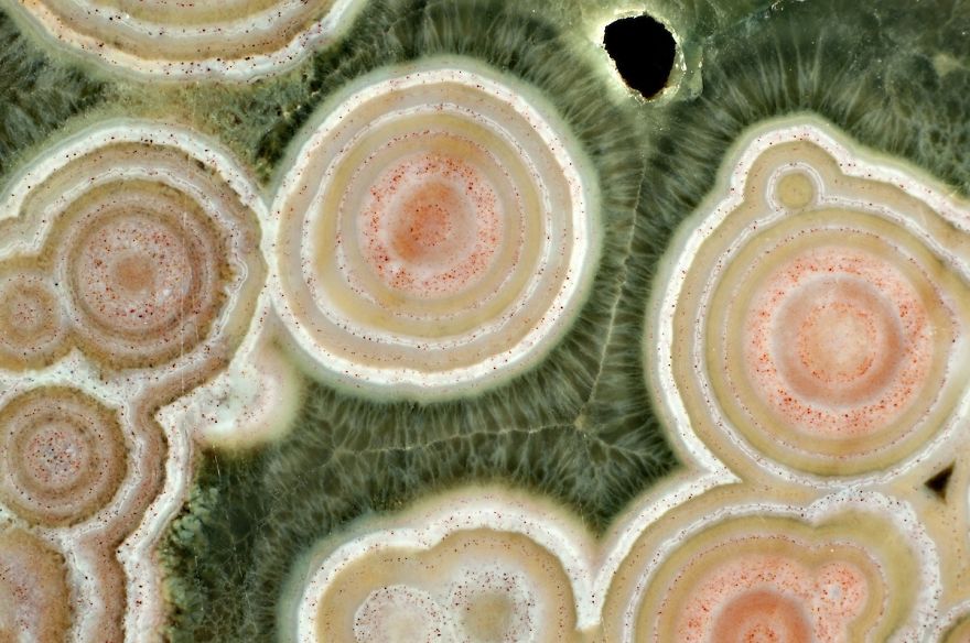 Inside A Rock! Stunning Images Of Ocean Jasper Macro To Micro Inside A Rock! Stunning Images Of Ocean Jasper Macro To Micro