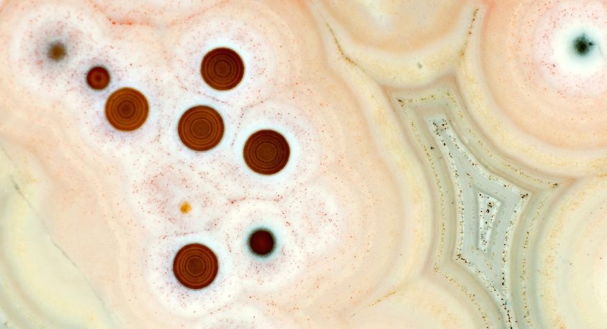 Inside A Rock! Stunning Images Of Ocean Jasper Macro To Micro