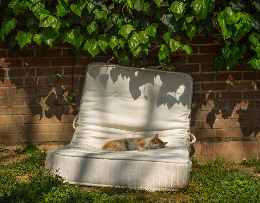 I Spent One Week In Istanbul And Took Some Photos