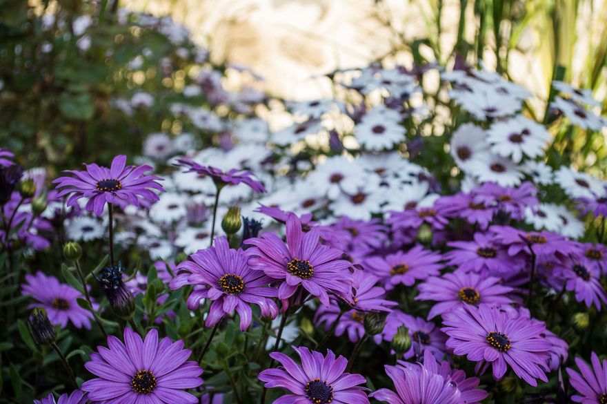 I Spent One Week In Istanbul And Took Some Photos I Spent One Week In Istanbul And Took Some Photos